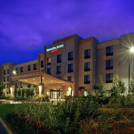 Springhill Suites By Marriott Baton Rouge North / Airport-2